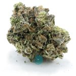Bubba's Bitch AAAA - Indica