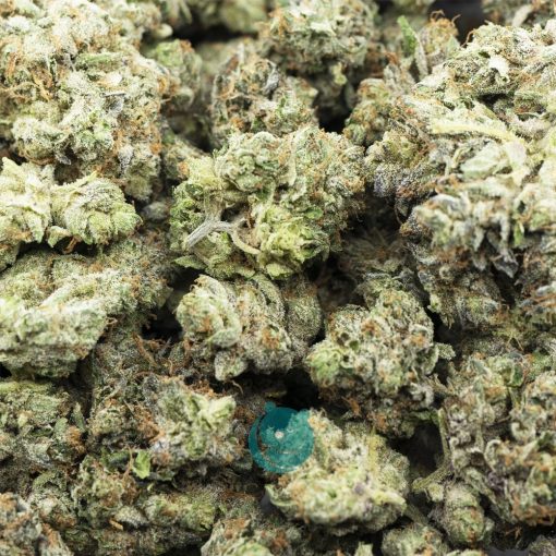 bubbas bitch aaaa wholesale