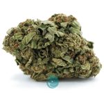 Crop Doctor A - Indica