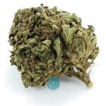 Gobbstopper A - Hybrid