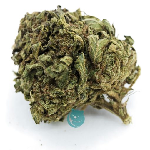 Gobbstopper A - Hybrid