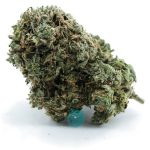 God's Green Crack AA - Indica