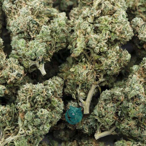 Wholesale - God's Green Crack - AA