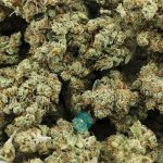 Wholesale - Grandpa's Stash - Craft