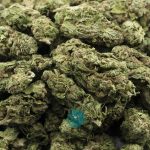 heavy duty fruity aa wholesale