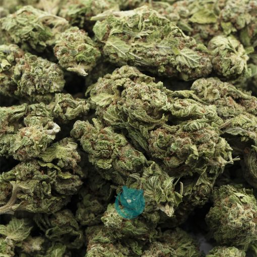 heavy duty fruity aa wholesale