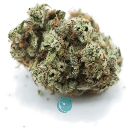 karibbean mango aaa nug