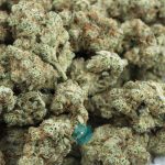 Wholesale - Karibbean Mango - AAA