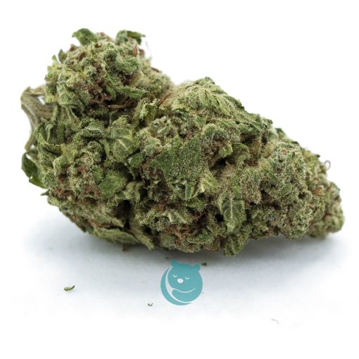 Panama Princess AA - Sativa