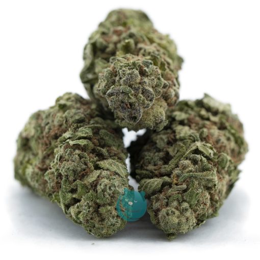 panama princess aa three nug