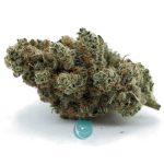Platinum Dawg AAAA - Indica