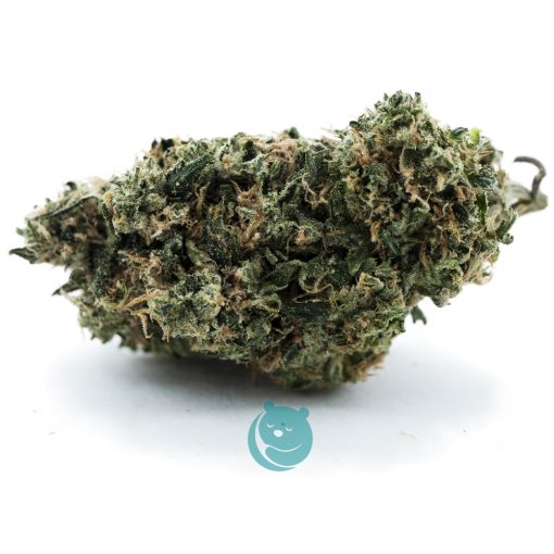 Tommy Gun AA - Indica
