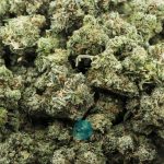 Wholesale - Tommy Gun - AA