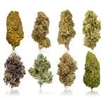 Specialty - Surprise Pack - Ounce (8 x 3.5g Each)