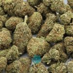 Wholesale - 007 Breath - AAA