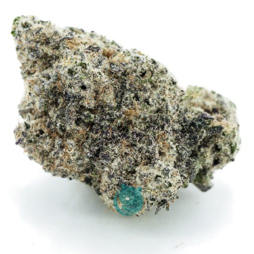Dirty Mack AAA - Hybrid
