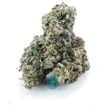 emancipator craft three nug