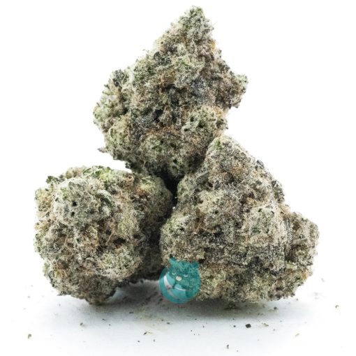 harley storm aaa three nug