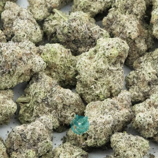 Wholesale - Harley Storm - AAA