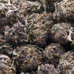 Wholesale - Huckleberry - AAA