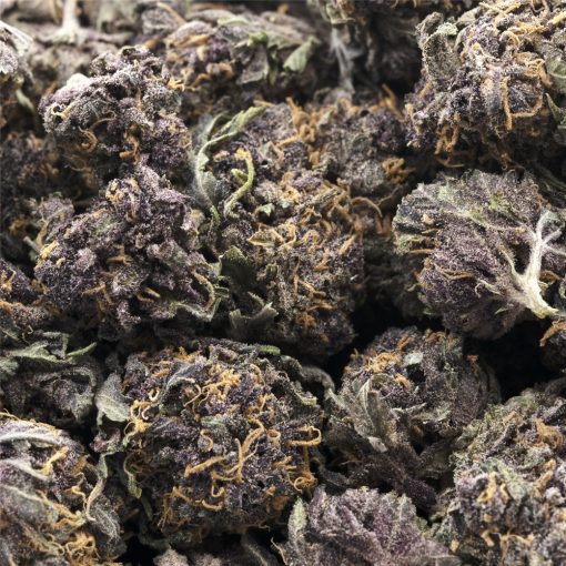 Wholesale - Huckleberry - AAA