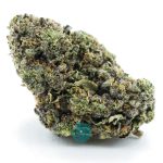 Jack Durban AAA - Hybrid