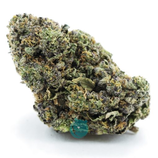 Jack Durban AAA - Hybrid
