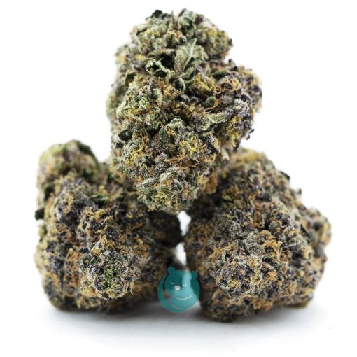 jack durban aaa three nug