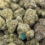 Wholesale - Jack Durban - AAA
