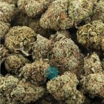 Wholesale - OG Matic - AAA
