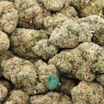 Wholesale - PB and Grape Jilly - AAA