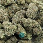 purple trainwreck craft wholesale