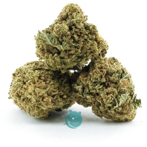 quebec gold aa three nug