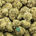 Wholesale - Quebec Gold - AA