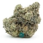 samoa kush aaa nug