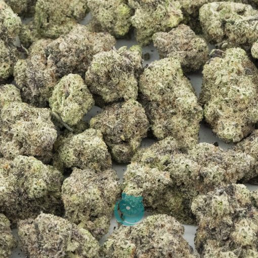 Wholesale - Samoa Kush - AAA
