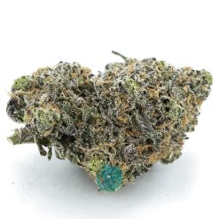 sapphire scout aaa nug
