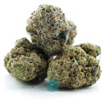 sapphire scout aaa three nug