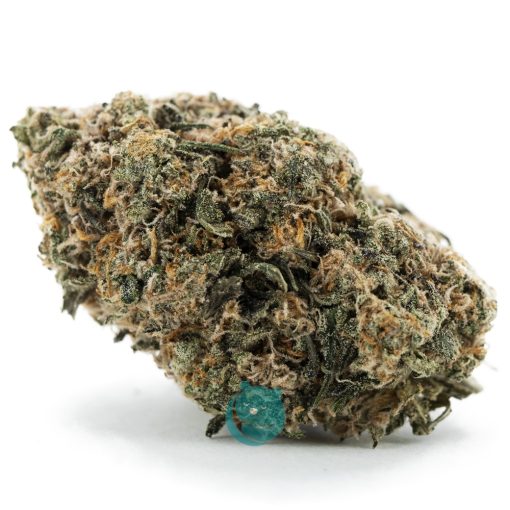 Tangalina Jolie AAA - Hybrid