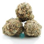tangalina jolie aaa three nug
