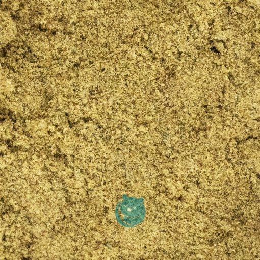 cookies gary payton kief crop