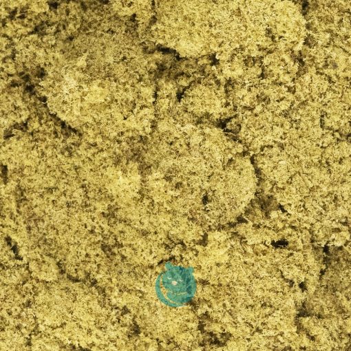 creme brulee kief crop