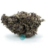 Blueberry Cookies A - Indica