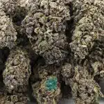 Wholesale - Blueberry Cookies - A