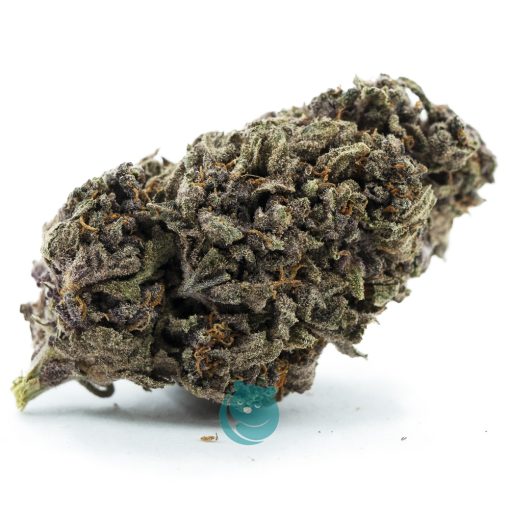 obama kush a nug