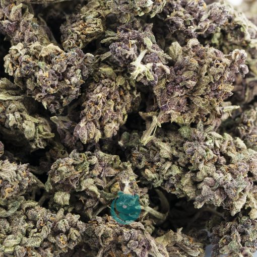 obama kush a wholesale strains