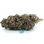 Purple Mayhem A - Indica