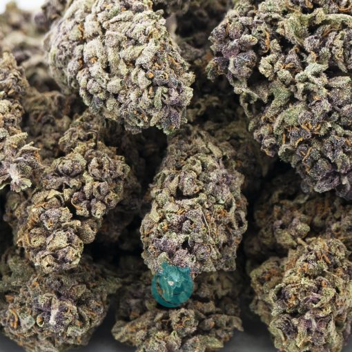 Wholesale - Purple Mayhem - A