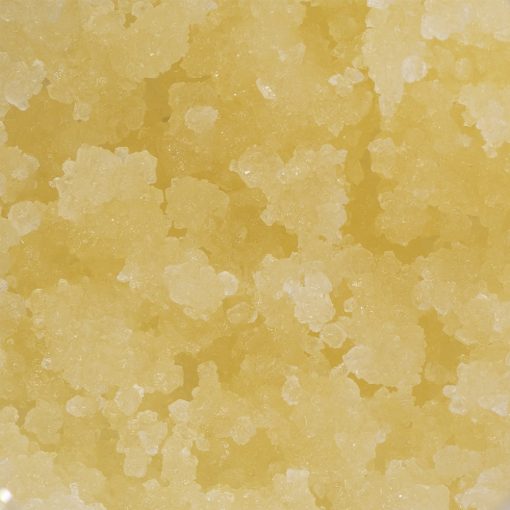 lemon oasis caviar crop