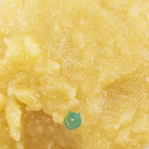 Pineapple fanta live resin crop